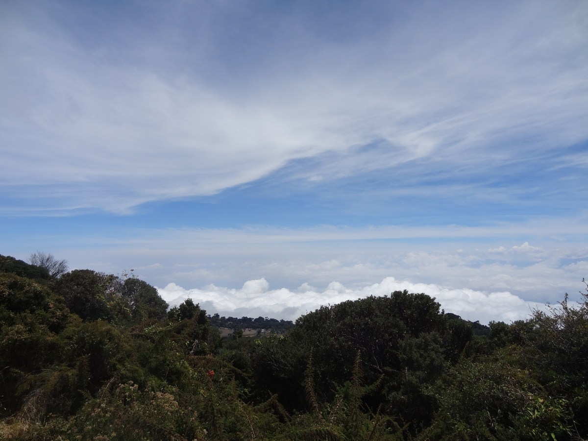 The Power of Positive Thinking: 7 Steps to&nbsp;Happy