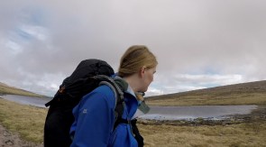 7233A28064BD535F40A07FBF4AADCD04